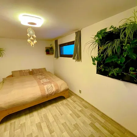 فيلة Bydleni V Zahrade *