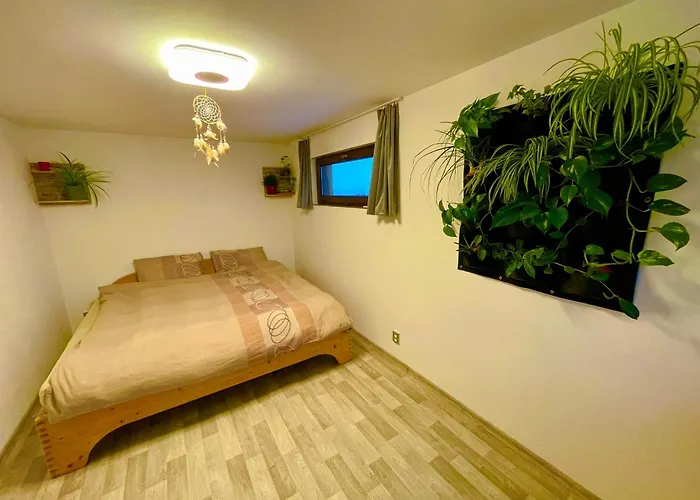 فيلة Bydleni V Zahrade *